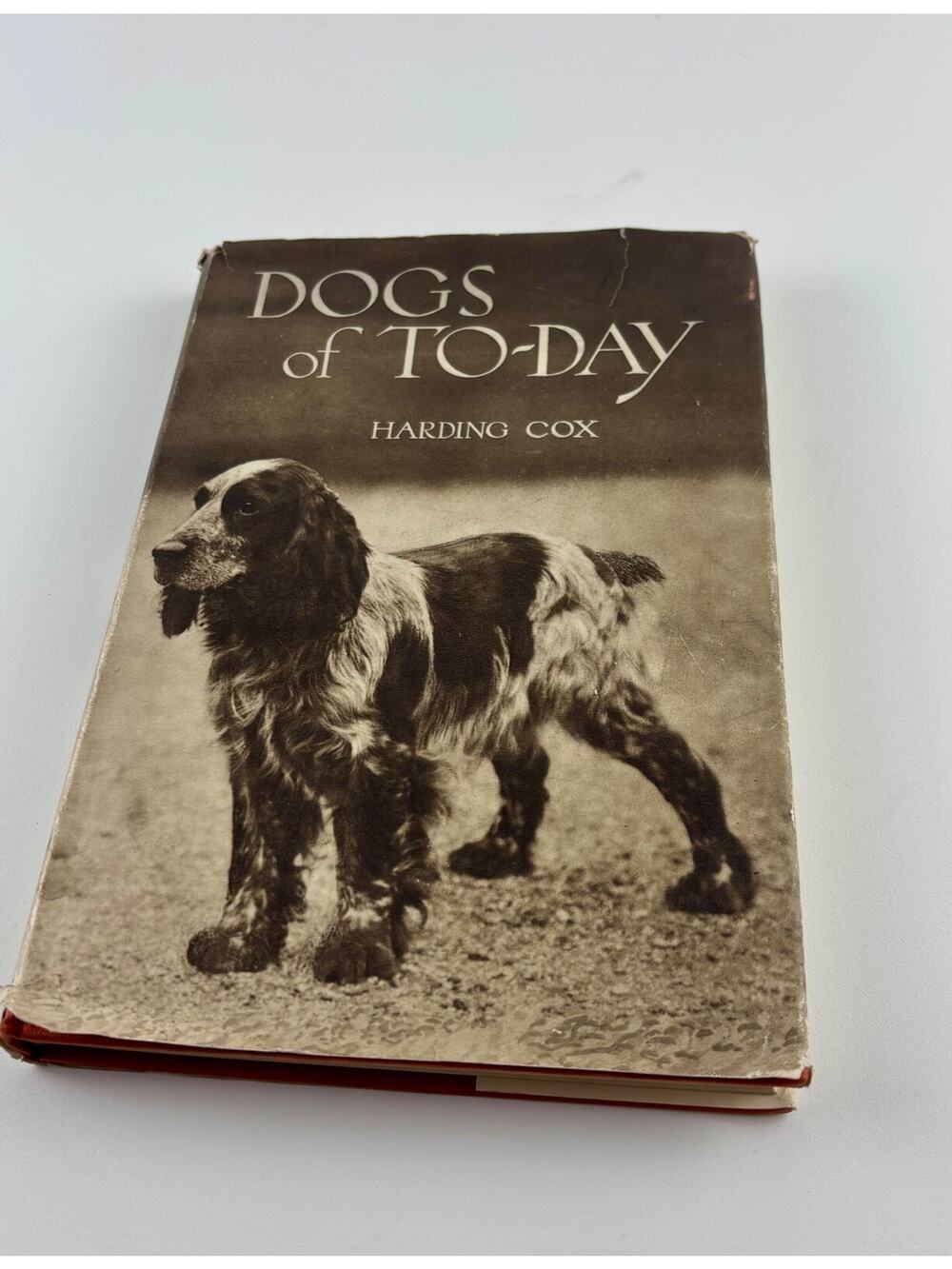 Dogs of To-Day by Harding Cox Vintage 1931 Hardcover w/ Dust Jacket  Dog Bree
